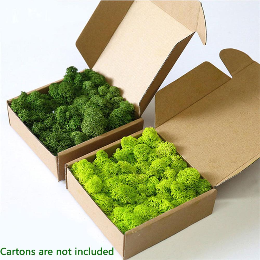 Sphagnum Moss Dry - Planta artificial vida eterna musgo, jardim