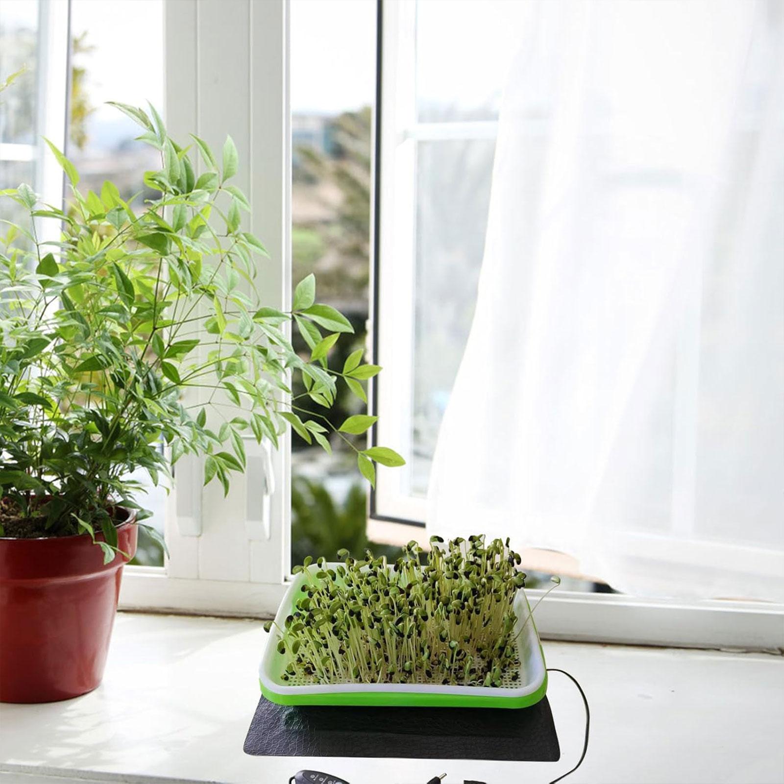 Heat Mat Seedling - Tapete Térmico Hidropônico para Propagação de