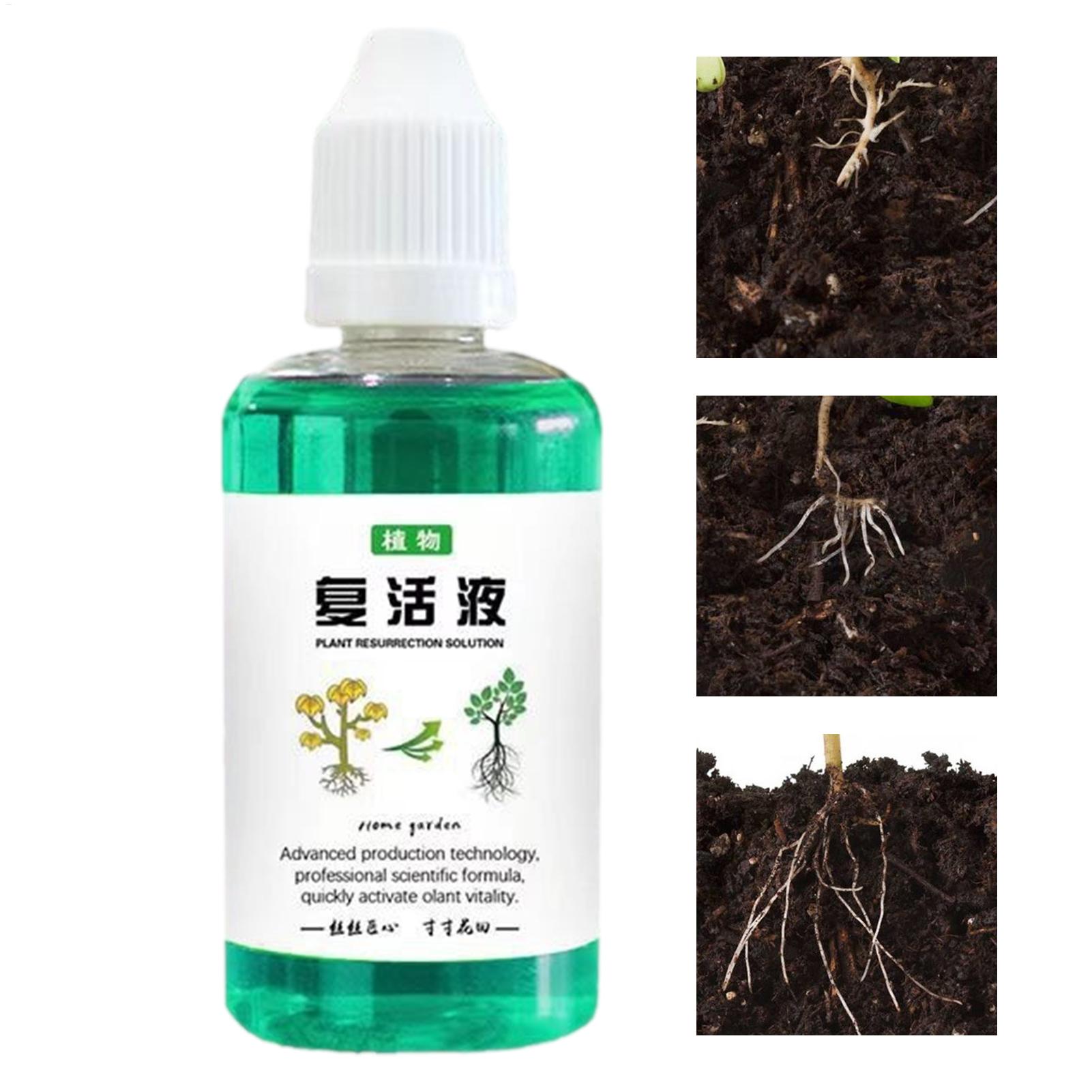 Estimulador de Raízes 50ml: Lí - Root Stimulator Liquid avaliação e preço