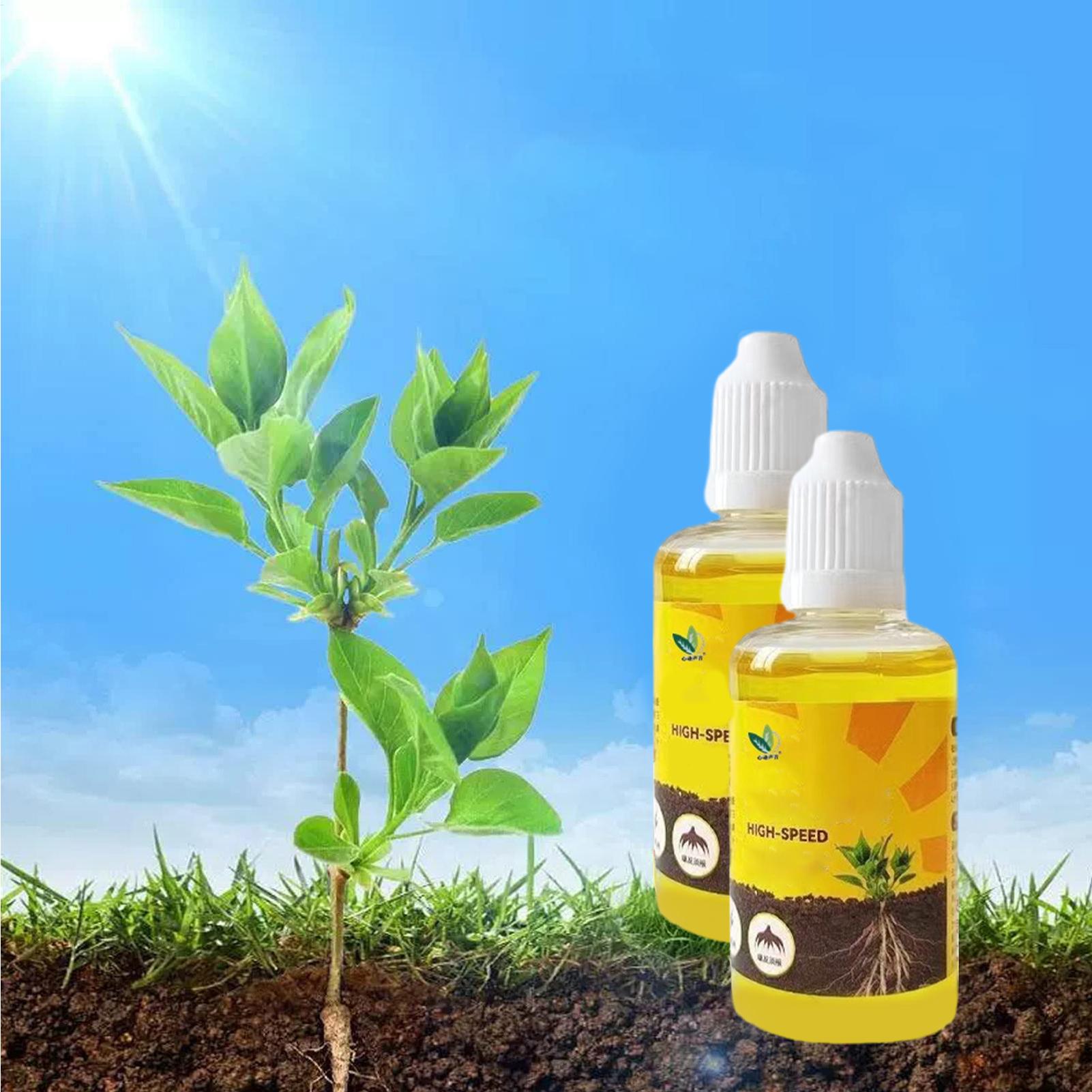 Estimulador de Enraizamento de - Root Stimulator Liquid avaliação e preço