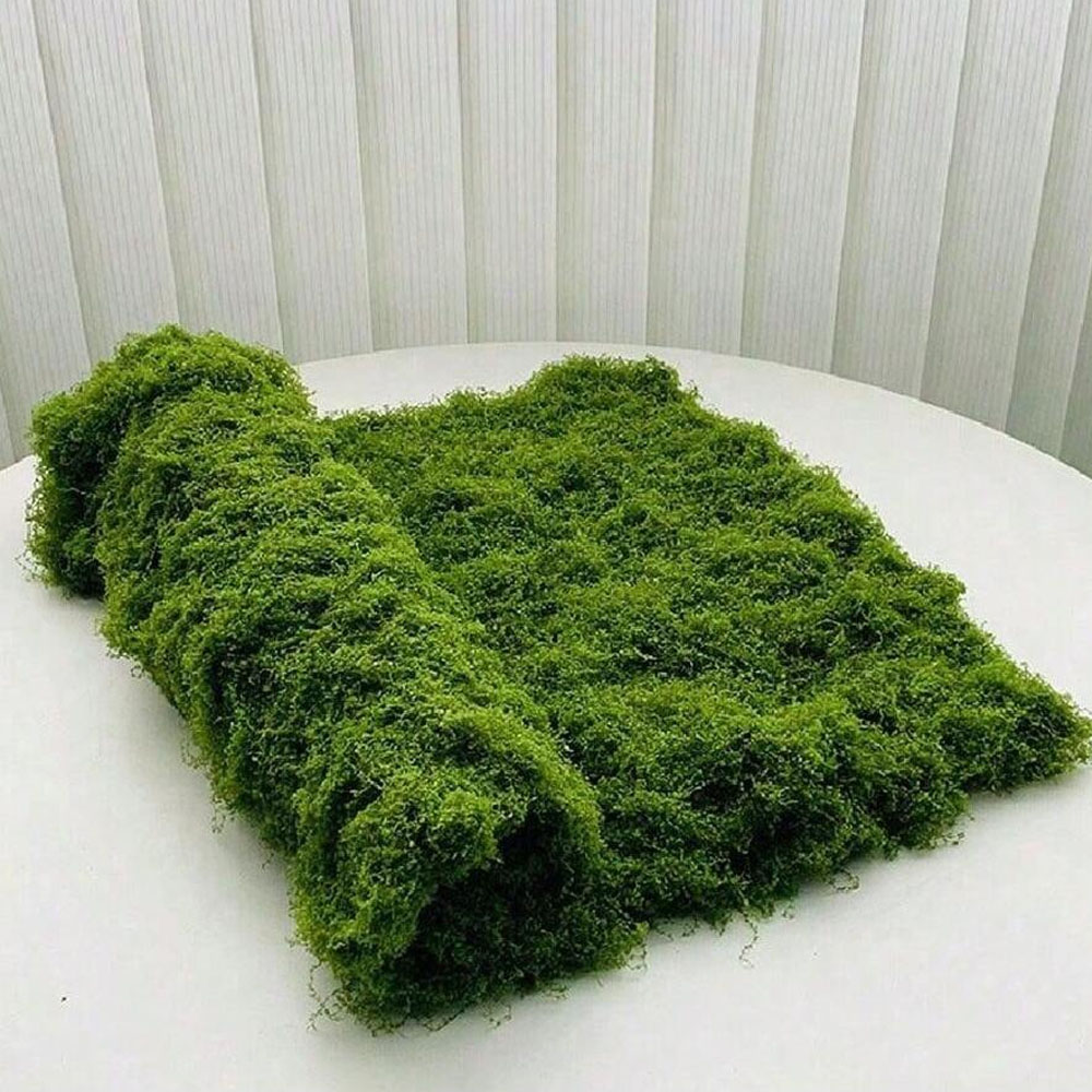 1*1m falso musgo diy artesanat - Sphagnum Moss Dry avaliação e preço