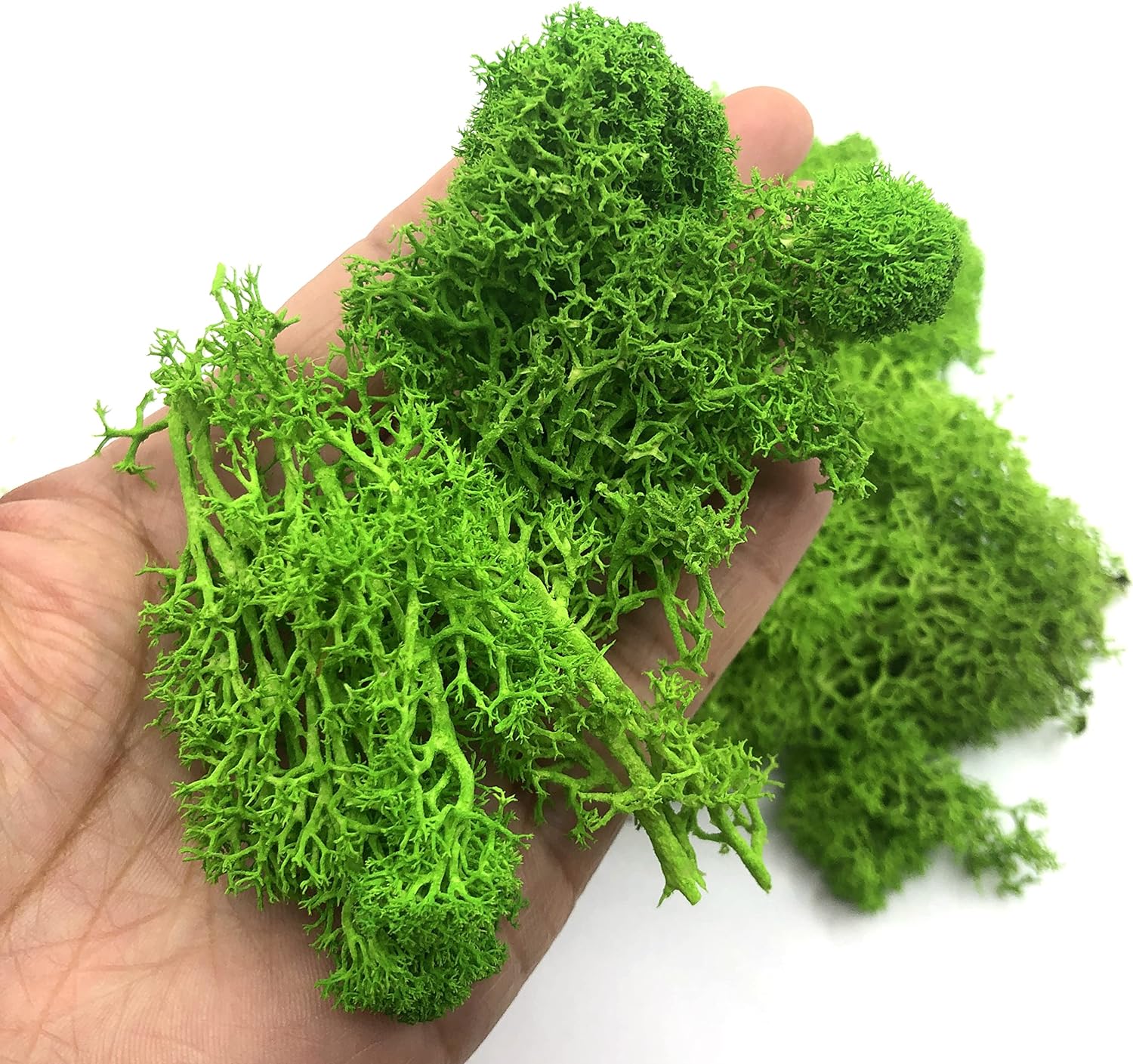 200g plantas verdes artificiai - Sphagnum Moss Dry avaliação e preço