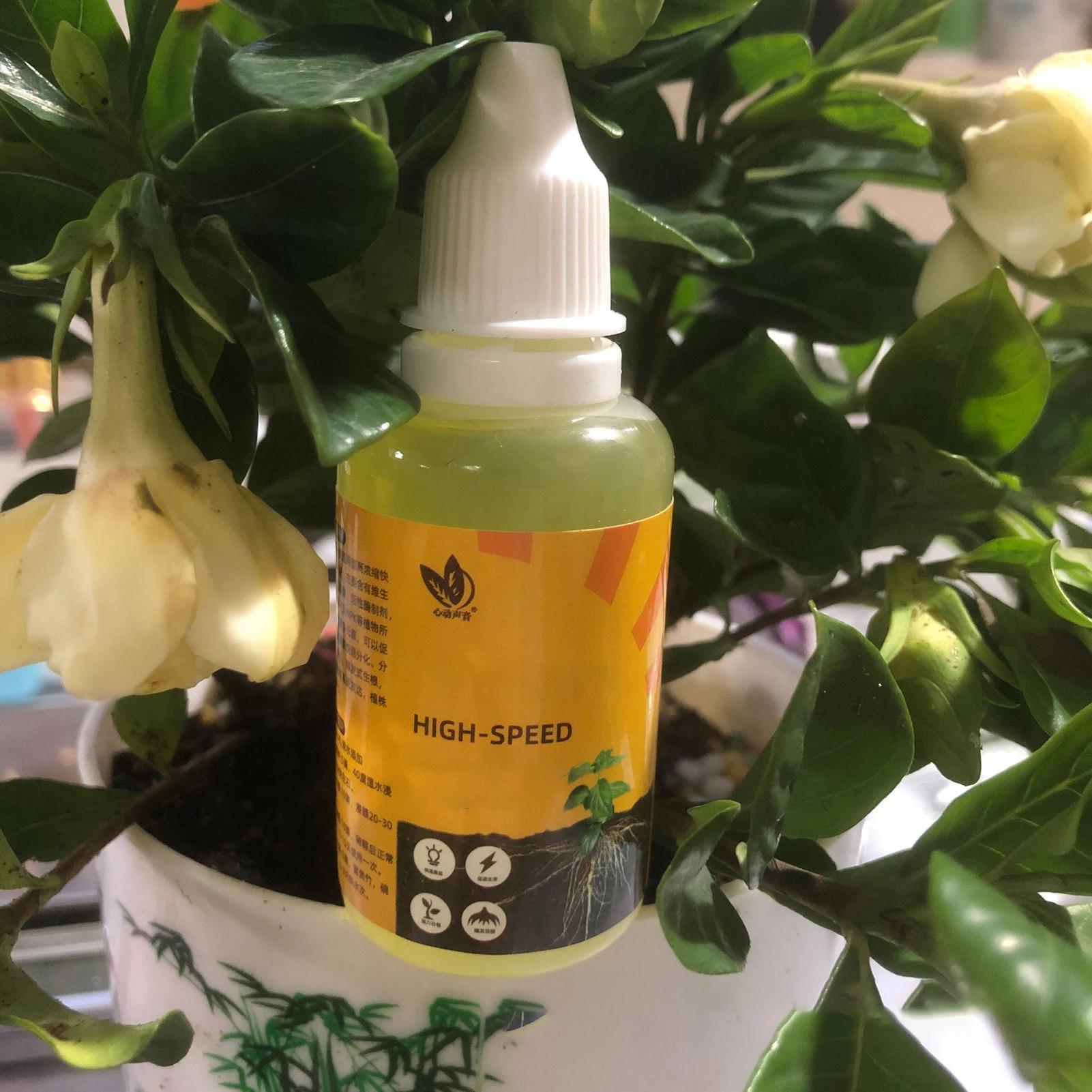Instalação rápida de planta de - Root Stimulator Liquid avaliação e preço